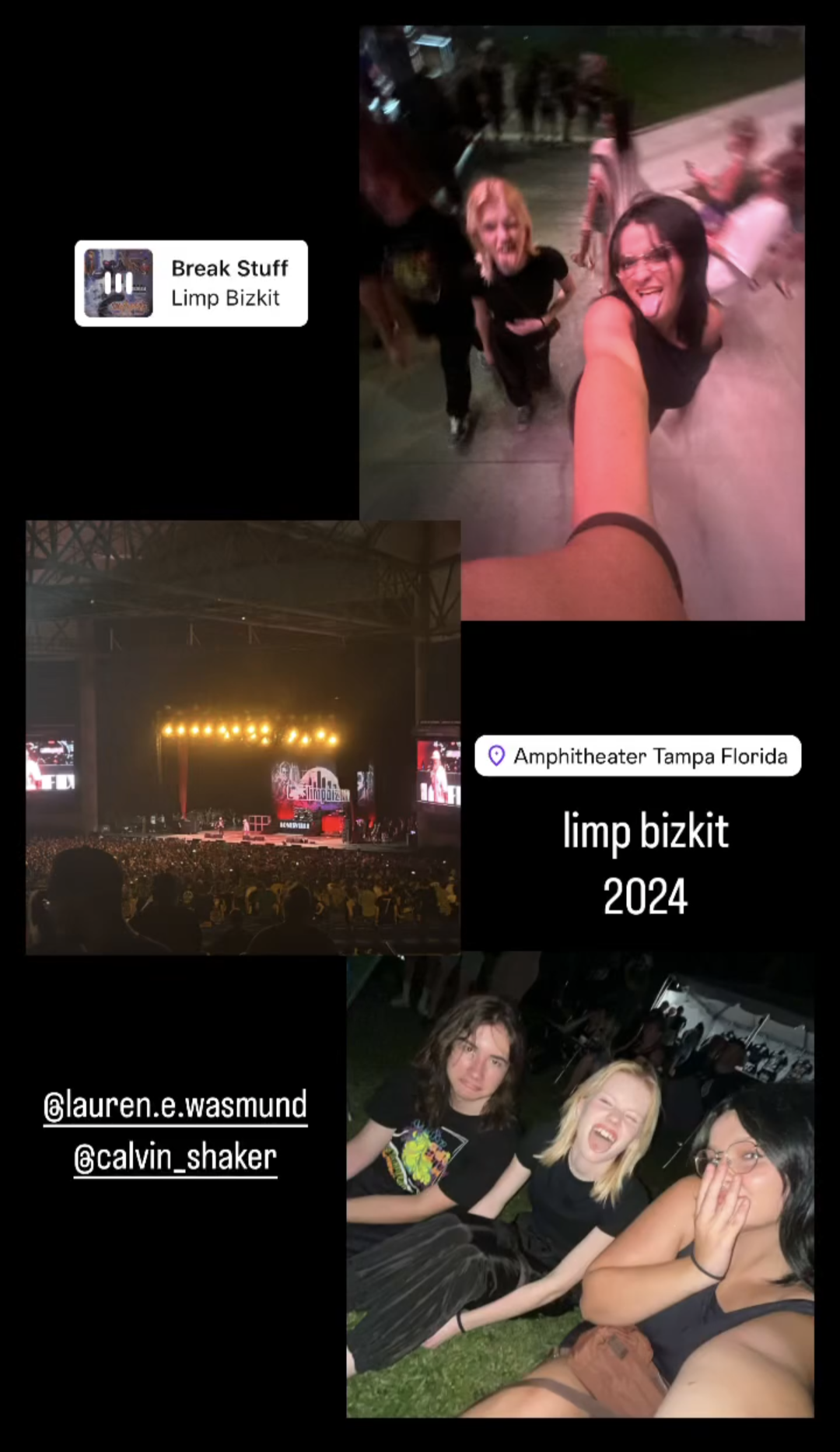 My friend's instagram story post-concert